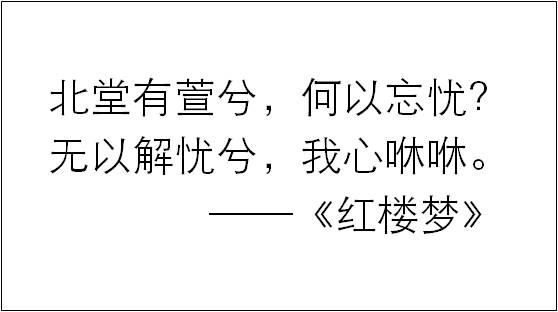 问诗取经|幽谷石竹可怜，北堂萱草忘忧