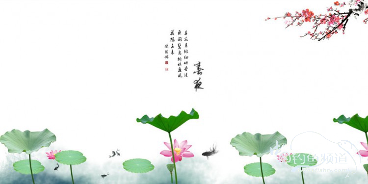 我爱飞鱼初探新钓点