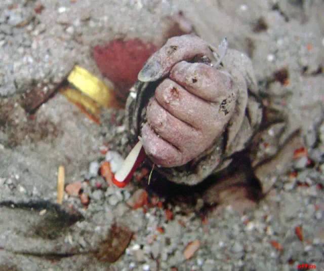 5.12汶川地震感人记录,5.12汶川地震纪念感言