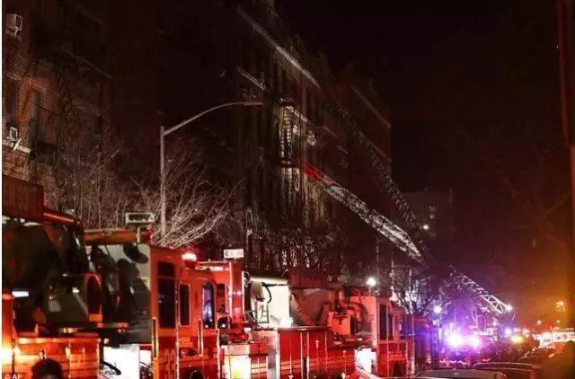 屋里发现一只蜘蛛,屋子里发现蜘蛛