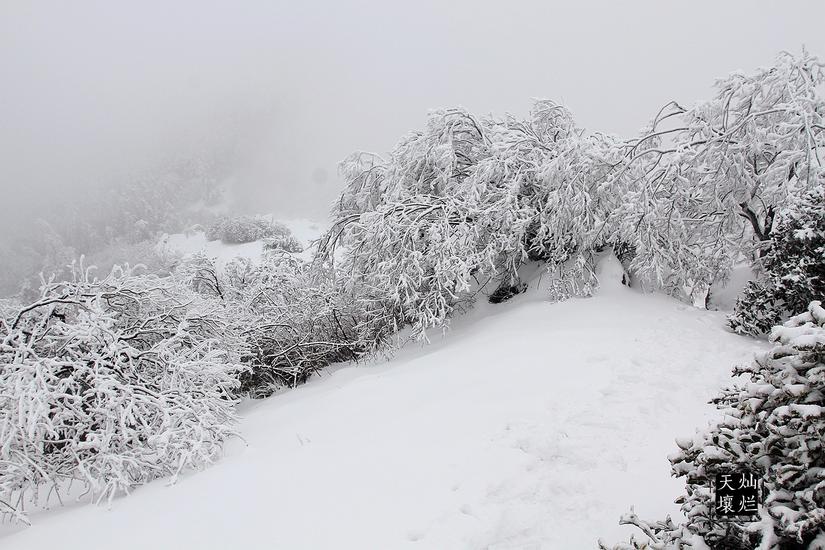 赏雪何须去北国,赏雪不用去远方