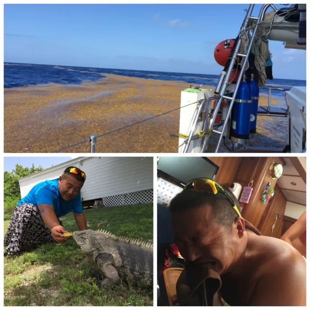 高民环游世界,高民环球旅行