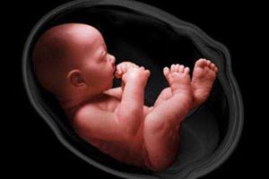 优生优育的措施,优生优育的3大秘笈