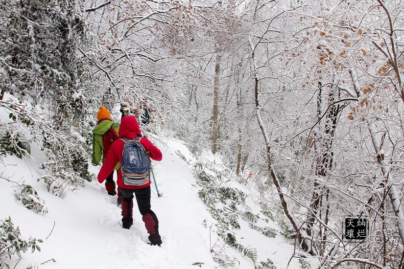 赏雪何须去北国,赏雪不用去远方