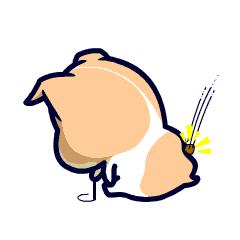 无痛分娩准妈妈们的福音,无痛分娩最新通知