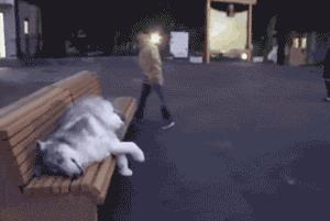 一招判断是胃疼还是胆囊炎,怎样快速缓解胆囊引起的胃疼