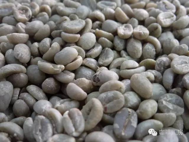 咖啡师入门必看的咖啡知识,精品咖啡学中咖啡的基本知识