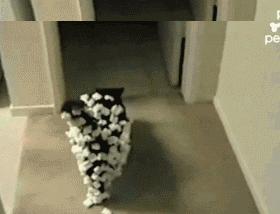 撸猫遇到静电,撸猫静电