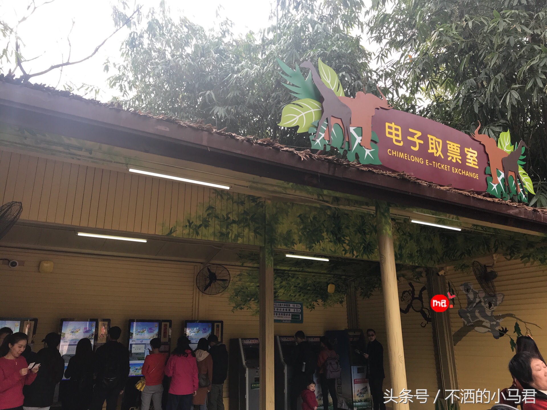 长隆野生动物园3天2晚亲子游,广州长隆野生动物园亲子游攻略