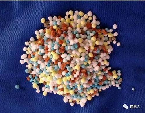 新铺的草坪怎么维护,草坪怎么维护保养