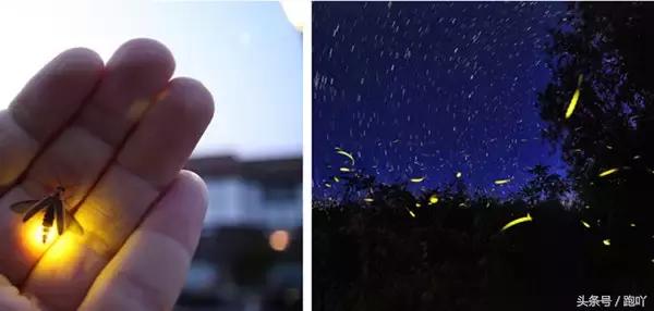 沙巴最美日落海滩,沙巴最美的岛是哪个岛