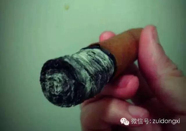 不曾驯服的野性,随风而逝