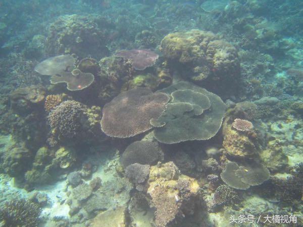 仙本那海岛游玩,仙本那海岛度假