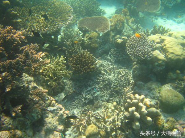 仙本那海岛游玩,仙本那海岛度假