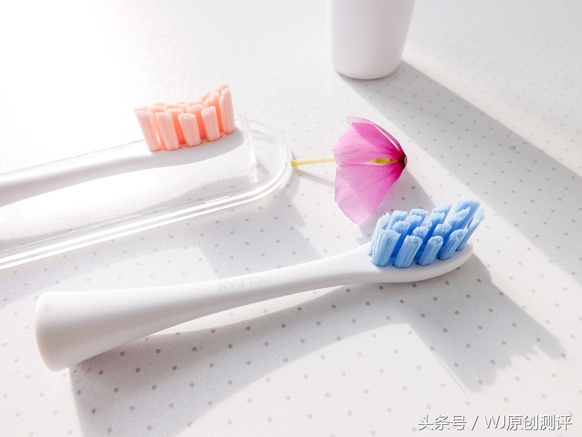 外秀内慧的牙齿健康好帮手——OcleanSE青春版试用