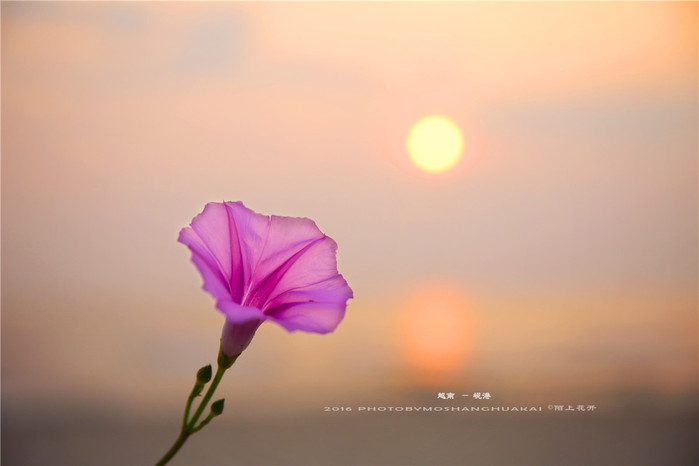 ◆周末度假去哪儿◆——在越南岘港逛吃逛吃