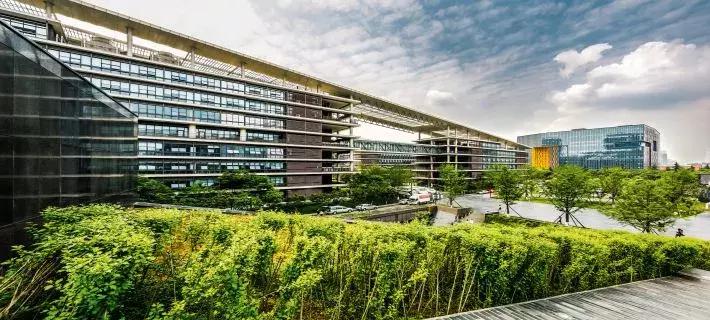 牛爆了原版视频,牛爆了