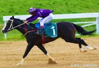 “吉祥如意”当选2017赛季玉龙马会年度马王:“赛事五魁”出炉