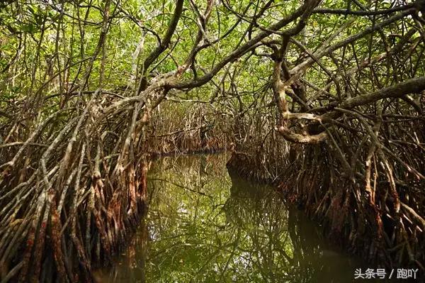 沙巴最美日落海滩,沙巴最美的岛是哪个岛