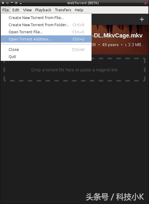 播放torrent的软件,看种子软件