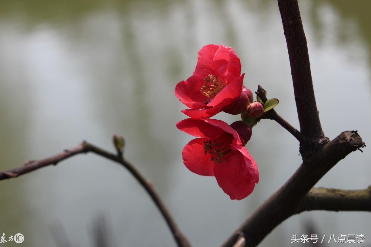 趣味中医中医成语之因势利导