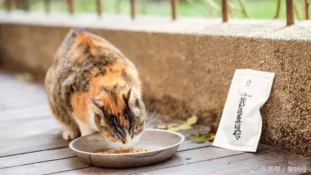 爱妖经陪你过暖冬｜爱要有你才温暖