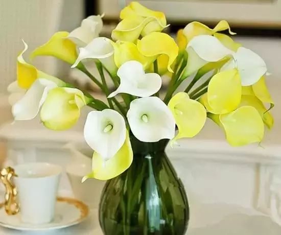 怎么送鲜花较为浪漫一点,送人玫瑰手有余香的前两句是什么