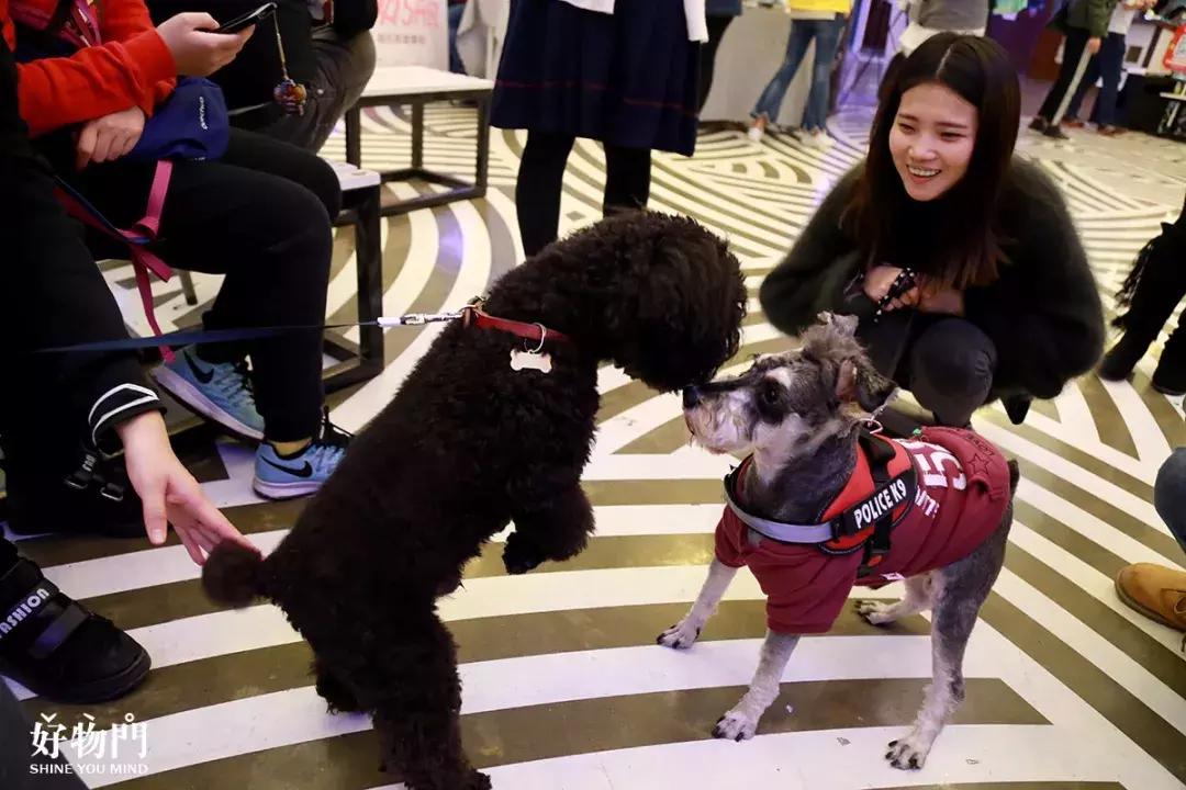 养蛙不如吸猫，这个冬*你日**准备好画板了吗