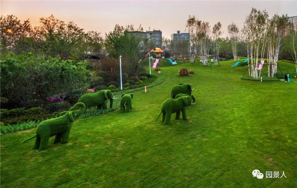 阳光草地美景,福州阳光草坪