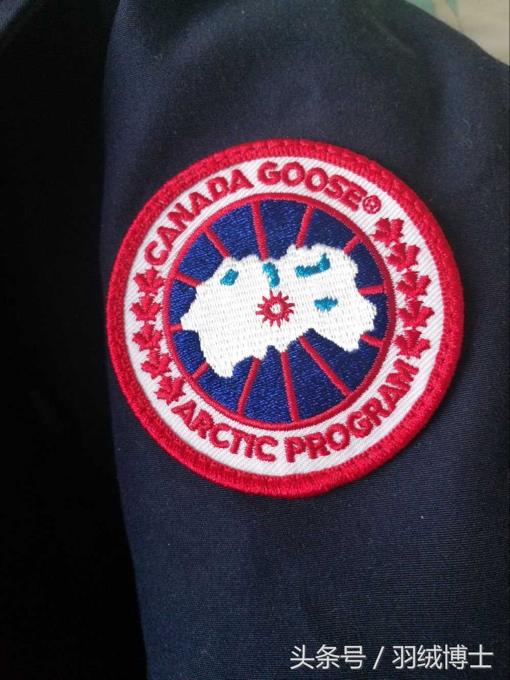 加拿大鹅羽绒服中国代工 (加拿大鹅为什么打开中国羽绒市场)
