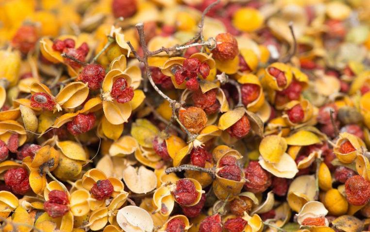 *欢合**花药膳食疗安神解郁之妙