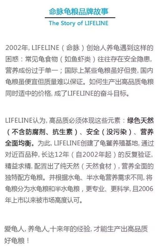 油彩木纹龟是蓝眼睛么,油彩木纹龟成体多大