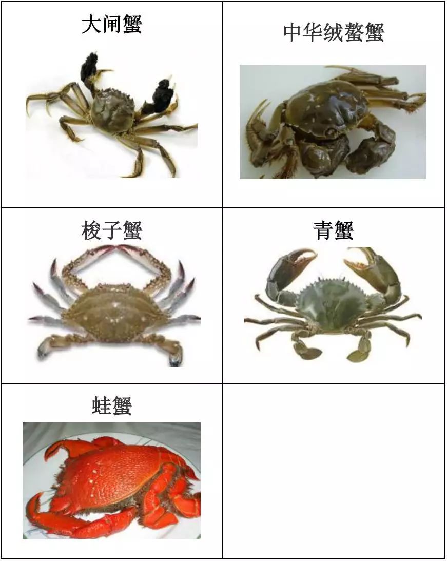 水产品种类及图片,常见的淡水鱼你认识多少