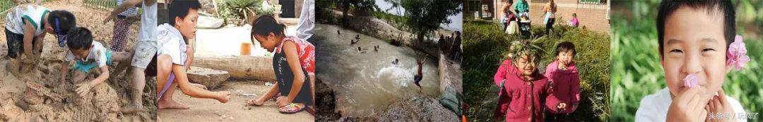 6款有趣的益智玩具推荐,四款适合儿童的益智玩具推荐