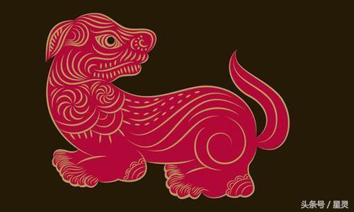 属鸡的贵人是什么属相,鸡和什么生肖最相生