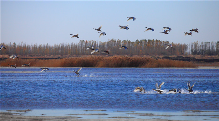 巴彦淖尔一日游最佳攻略,巴彦淖尔去北疆旅游