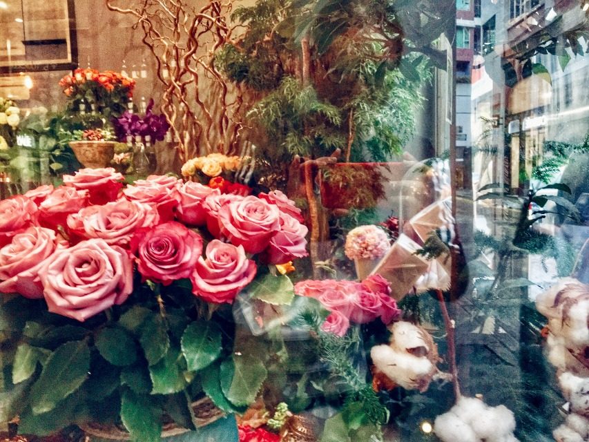 香港自由行1天攻略,背包客自由行游台湾