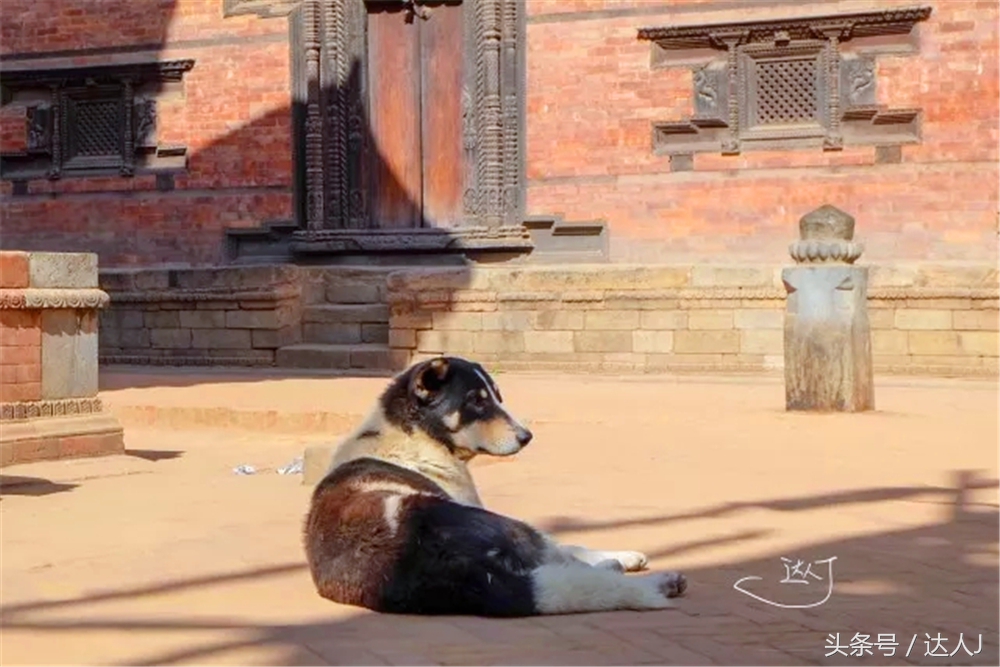 加德满都地震是哪年,加德满都地震视频