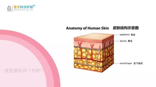 用护肤品感觉没吸收,用了护肤品脸上不舒服