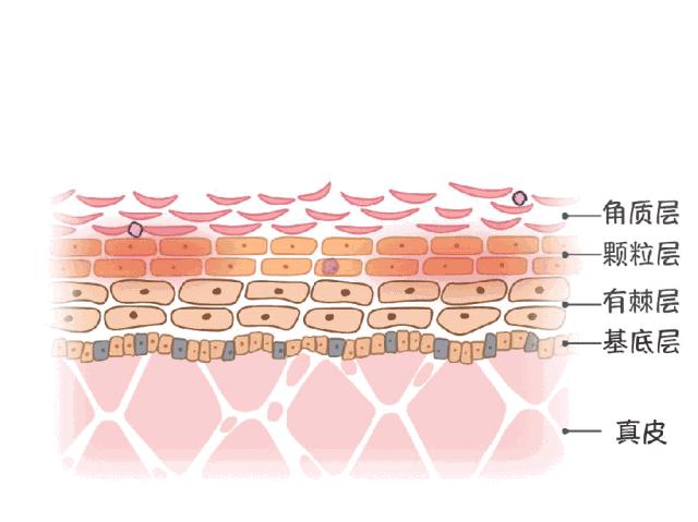 用护肤品感觉没吸收,用了护肤品脸上不舒服