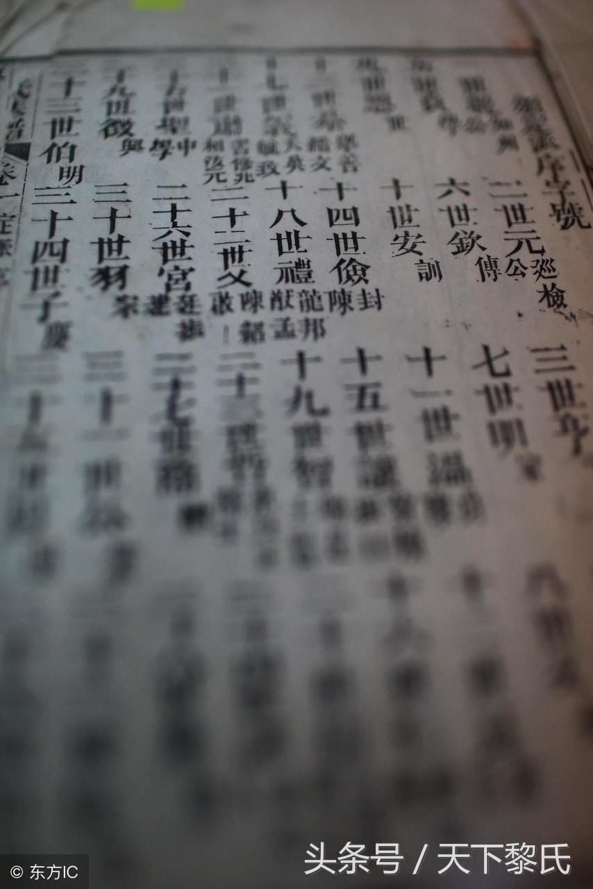 家谱标准格式欧式,家谱标准格式