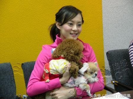 属狗的哪年是属于土狗,属狗的人是戌狗年吗