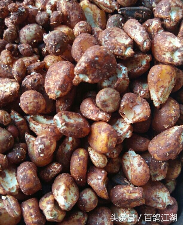 幼鸽鸽粮最佳配方大全,如何制作小鸽子喂鸽粮的东西