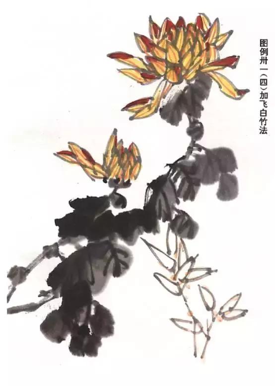 国画菊花画法教学视频,国画入门菊花的画法