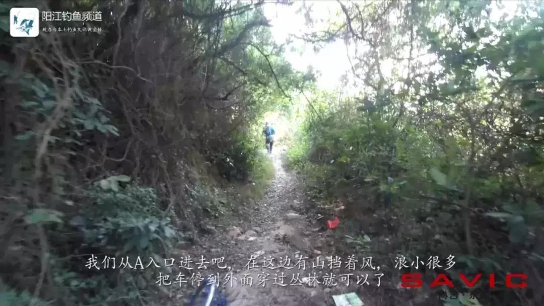 最佳钓鱼旅游地,海边旅游攻略钓鱼