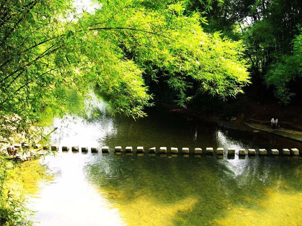 魅力蔡店，梦里家园