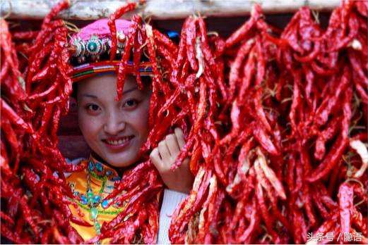 广东卤菜和四川卤菜的区别,什么牌子卤水卤菜最好吃