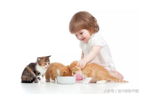 基诺浦童鞋有没有致癌物,耐克产品有毒吗