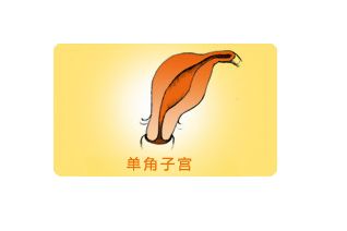 单角子宫对胎儿发育会有影响吗？