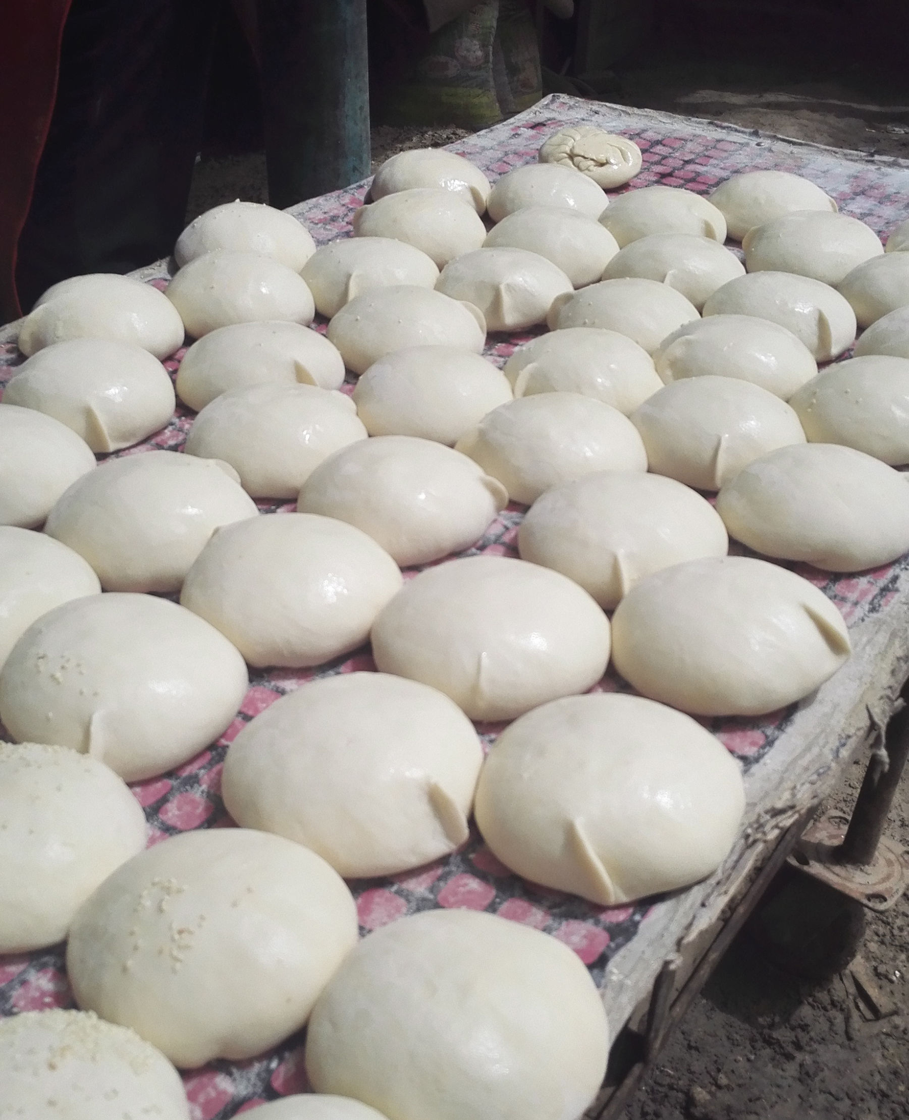 北疆和独库公路自驾游,独库公路和伊犁自驾游攻略